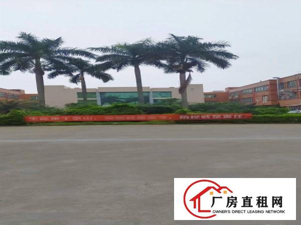  厦岗一楼800平现成装修厂房出租
