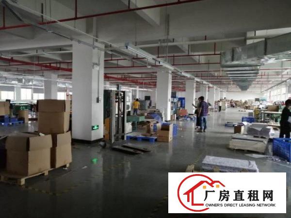  厦岗新出楼上1200平方，带装修，水电齐全！