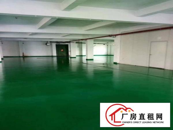  长安沙头358省道边上新出四楼650平方，全新地坪，主线到位
