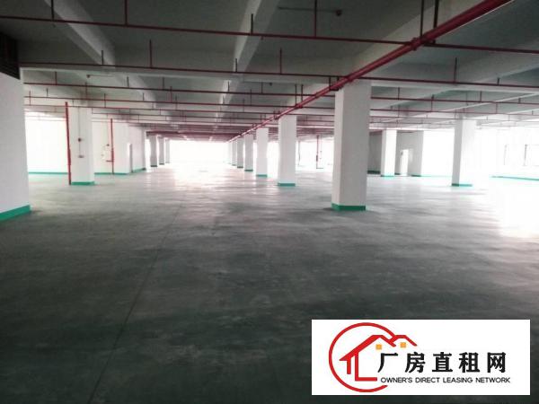  长安乌沙新出楼上每层3800平工业园厂房出租电商仓库出租分租
