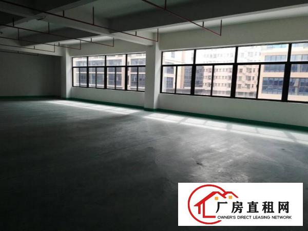  长安乌沙新出楼上每层3800平工业园厂房出租电商仓库出租分租