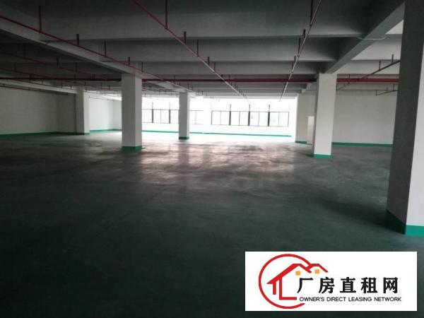  长安乌沙新出楼上每层3800平工业园厂房出租电商仓库出租分租