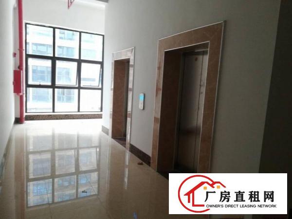  长安乌沙新出楼上每层3800平工业园厂房出租电商仓库出租分租