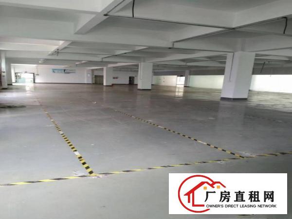  长安镇沙头原房东独院1至3楼5800平方超低价出租，无公摊
