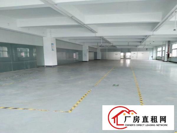  长安镇沙头原房东独院1至3楼5800平方超低价出租，无公摊