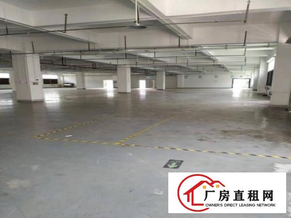  长安镇沙头原房东独院1至3楼5800平方超低价出租，无公摊