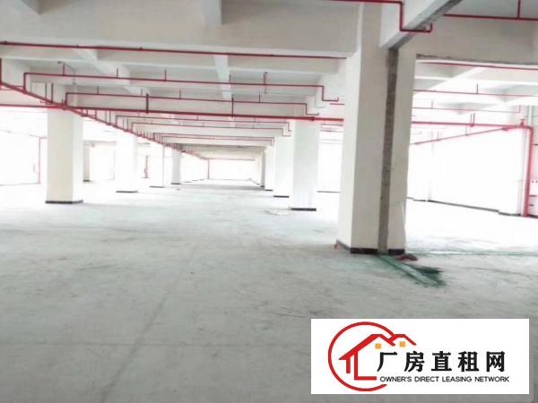  长安镇沙头原房东独院1至3楼5800平方超低价出租，无公摊