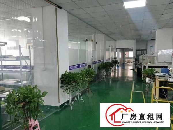  霄边新出楼上800平方带办公室装修厂房出租！
