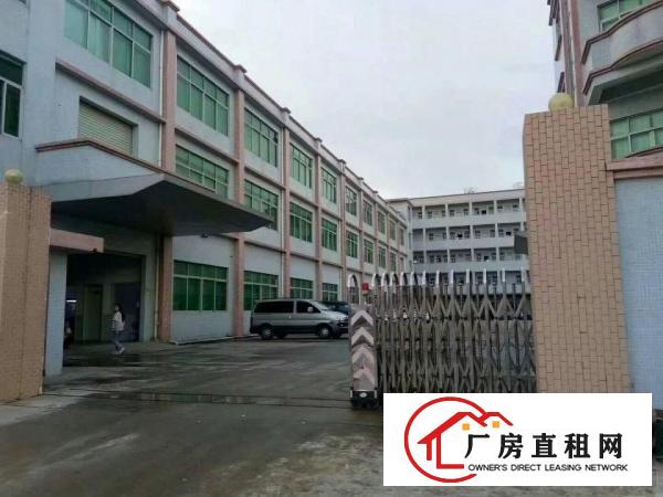  霄边新出楼上800平方带办公室装修厂房出租！