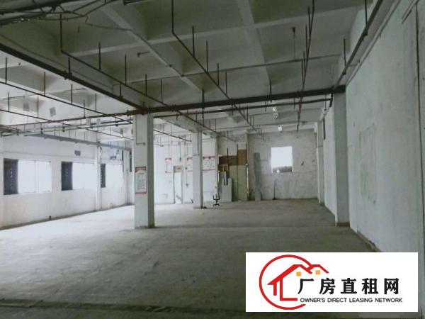  亮盘！上沙工业厂房出租独栋5100平零公摊形象好