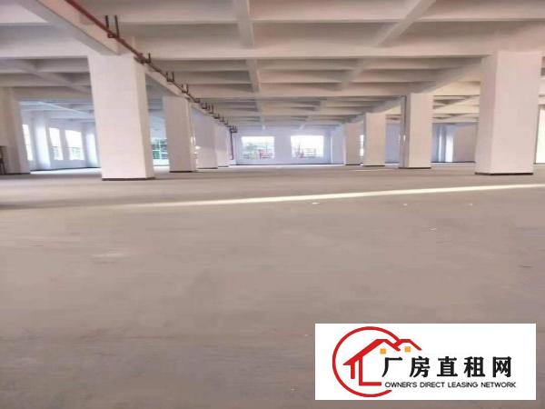  长安乌沙独院11000平两层重工业厂房出租分租贸易仓库出租