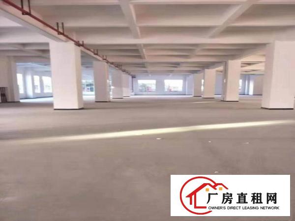  长安乌沙独院11000平两层重工业厂房出租分租贸易仓库出租