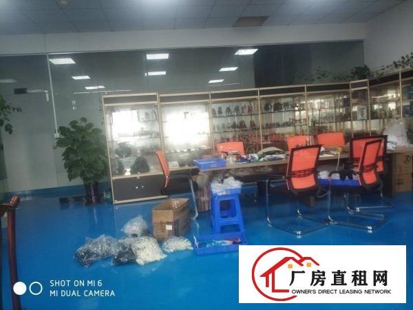 长安厦岗福海路金铭模具城原房东3000平厂房出租可分