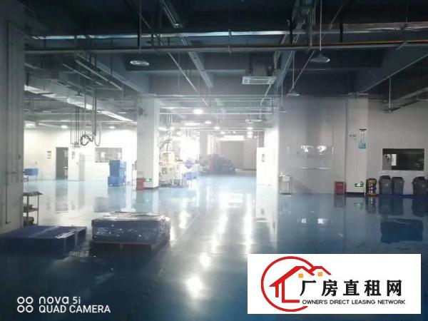  乌沙新安大桥附近全新装修重工业厂房二楼1000平方，拎包入住