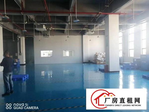  乌沙新安大桥附近全新装修重工业厂房二楼1000平方，拎包入住