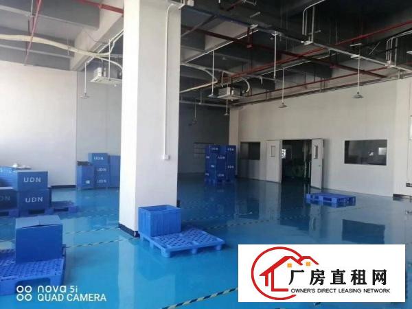  乌沙新安大桥附近全新装修重工业厂房二楼1000平方，拎包入住