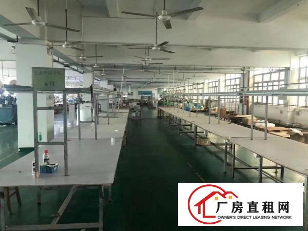  长安乌沙楼上精装修650平方厂房现成流水线，是电子烟行业