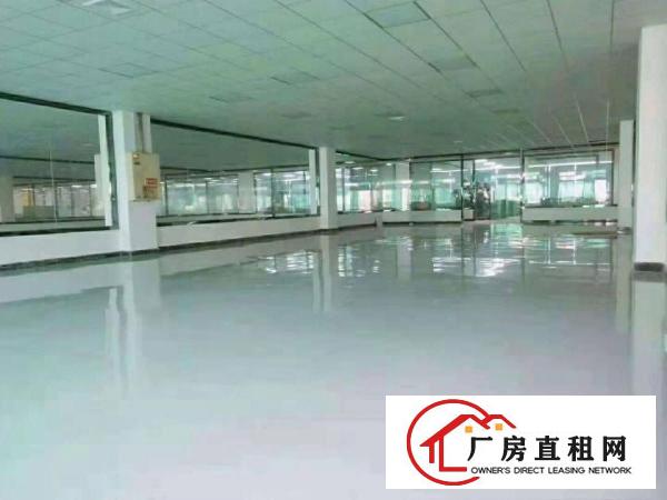  长安镇厦边分租一楼2300平方低价出租，高度7米带牛角空地大