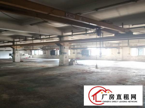  上沙新出一楼实际面积1600平方厂房