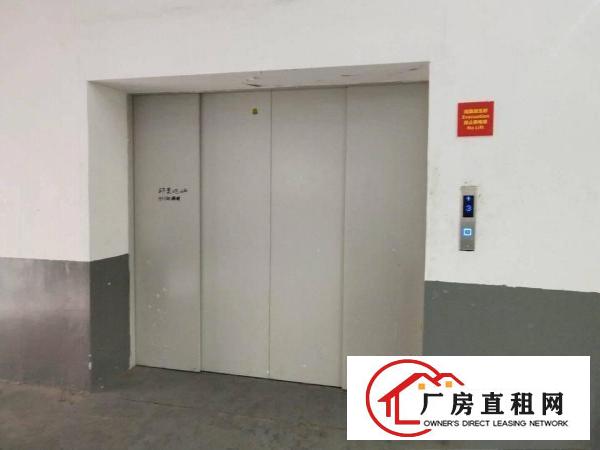  新空出精装修楼上原电子厂1000平方厂房无需转让费，水电齐全