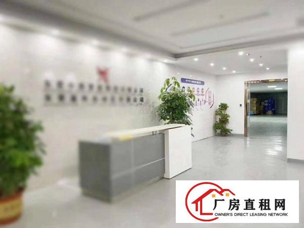  新空出精装修楼上原电子厂1000平方厂房无需转让费，水电齐全