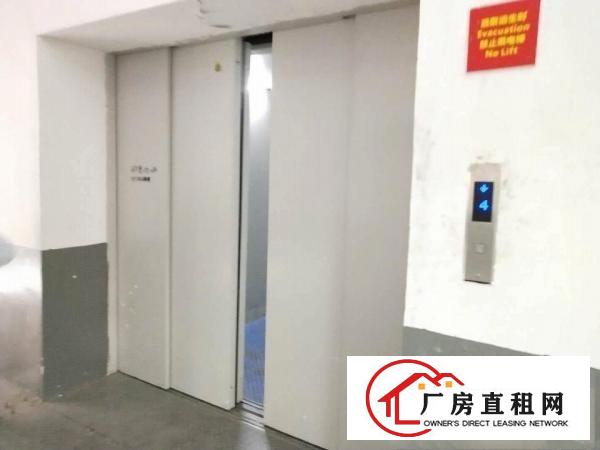  新空出精装修楼上原电子厂1000平方厂房无需转让费，水电齐全