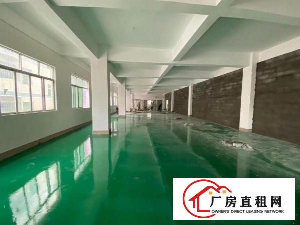  全新地坪漆，主线到位，电梯三吨，空地600平，
