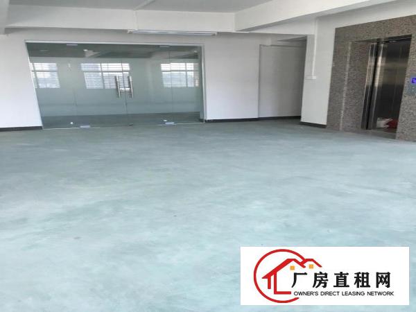  全新商务写字楼轻型加工行业招租，配电梯，带装修，水电齐全