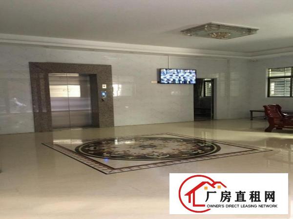  全新商务写字楼轻型加工行业招租，配电梯，带装修，水电齐全