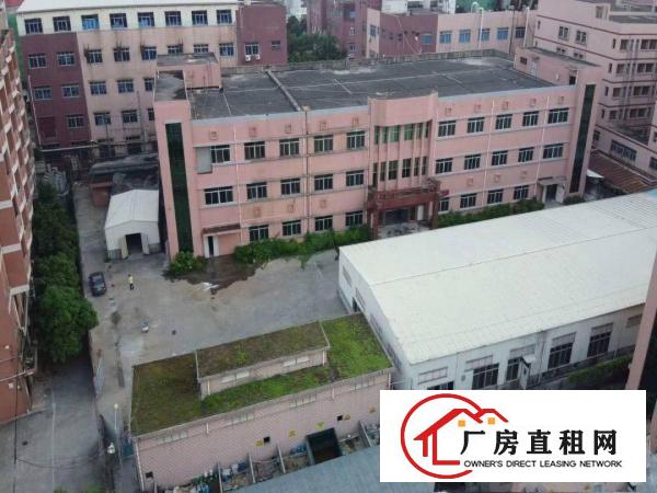  新安大桥旁工业园厂房出租1500平起，可分租！