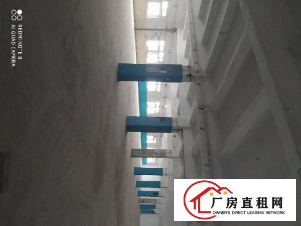  新安大桥旁工业园厂房出租1500平起，可分租！