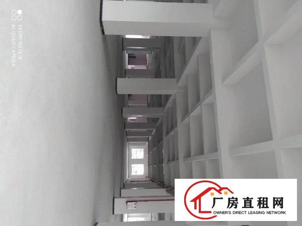  新安大桥旁工业园厂房出租1500平起，可分租！