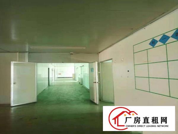  长安乌沙新空出楼上1260平方，豪华装修，有前台入驻即可生产