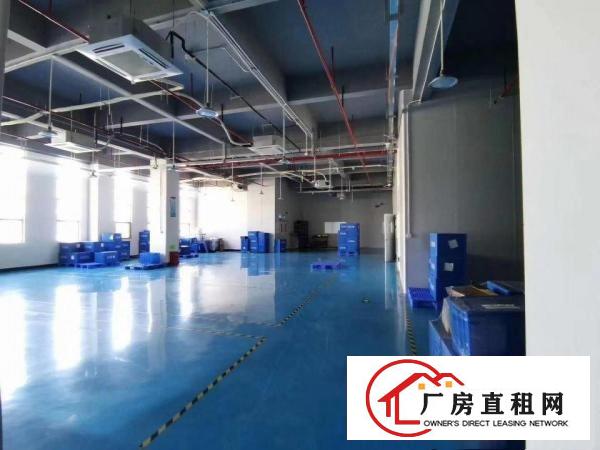  口罩仓库长安乌沙楼上3000平厂房出租可分租无尘车间