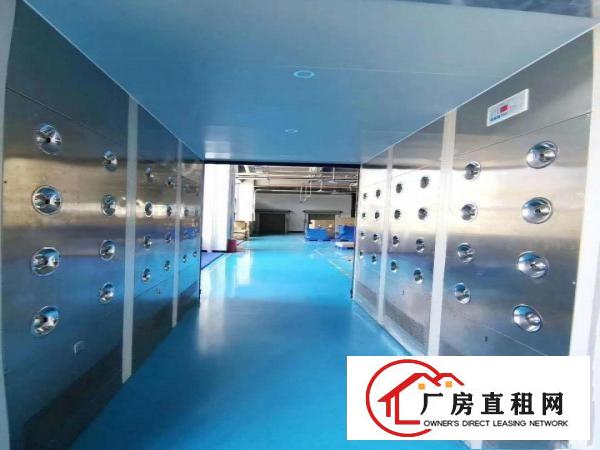  口罩仓库长安乌沙楼上3000平厂房出租可分租无尘车间