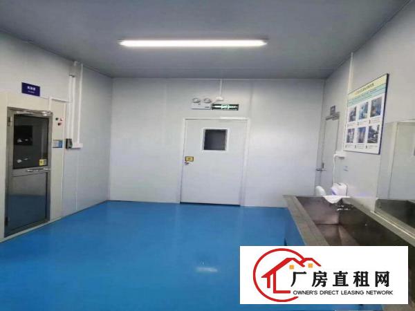  口罩仓库长安乌沙楼上3000平厂房出租可分租无尘车间