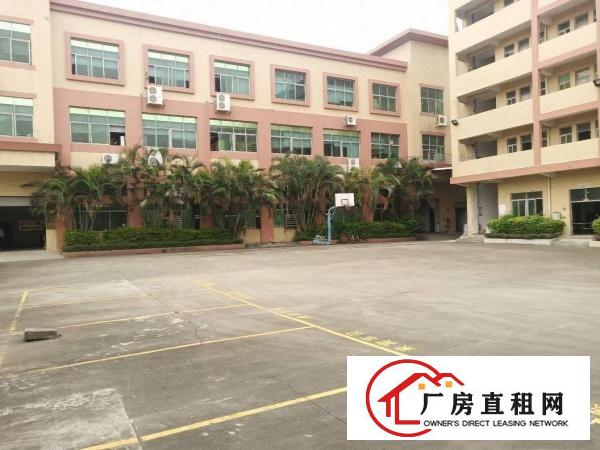  长安镇乌沙原房东豪华独院1至3楼4300平方火爆招租，无公摊