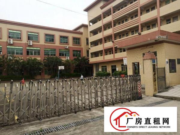  长安镇乌沙原房东豪华独院1至3楼4300平方火爆招租，无公摊