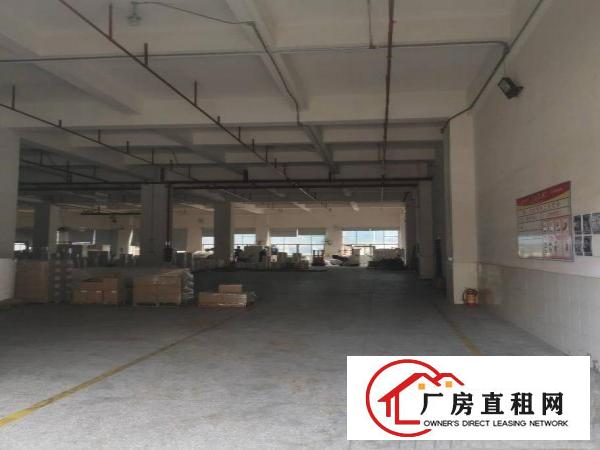  厦边新出7米高形象超靓一楼标准厂房