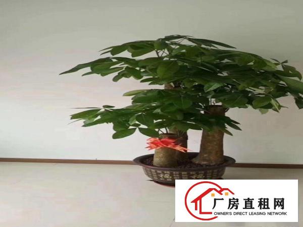  出租，长安厂房带装修出租