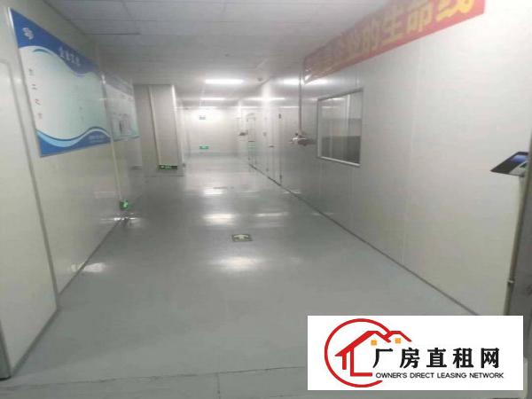  乌沙新出无尘车间3150平，可分租，无转让费