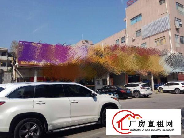  厦边新空出厂房一楼，带精装修。