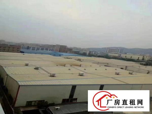  长安上沙新出单一层滴水8米高钢结构厂房1000平！