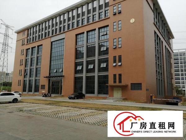 长安全新独栋厂房1000平起分带红本带装修