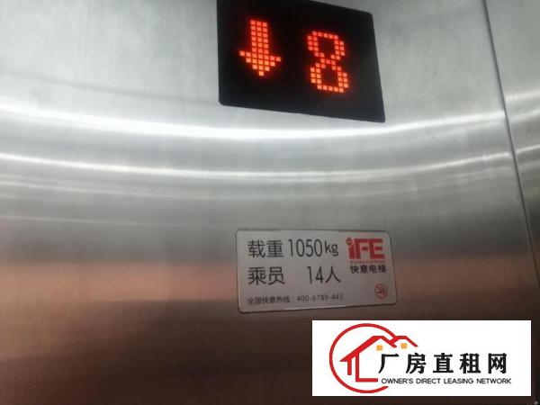  长安全新独栋厂房1000平起分带红本带装修
