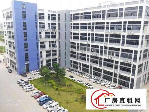  长安滨海湾新区重工厂房二楼4400平，精装修，拎包入户