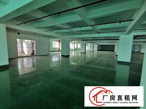  长安镇厦岗楼上2600平高速出精装修厂房出租带全新地坪漆可分