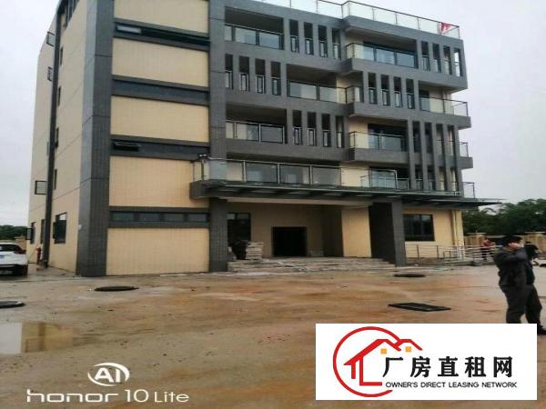  东莞长安新出带红本独门独院高新产业园总面积50000平可分租