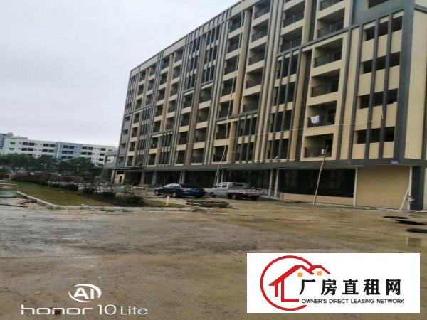  东莞长安新出带红本独门独院高新产业园总面积50000平可分租