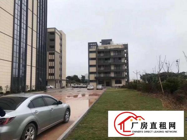  东莞长安新出带红本独门独院高新产业园总面积50000平可分租